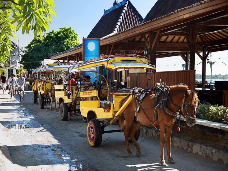 Pinkcoco - Constant Surprises - For Cool Adults Only Hotel Gili Trawangan